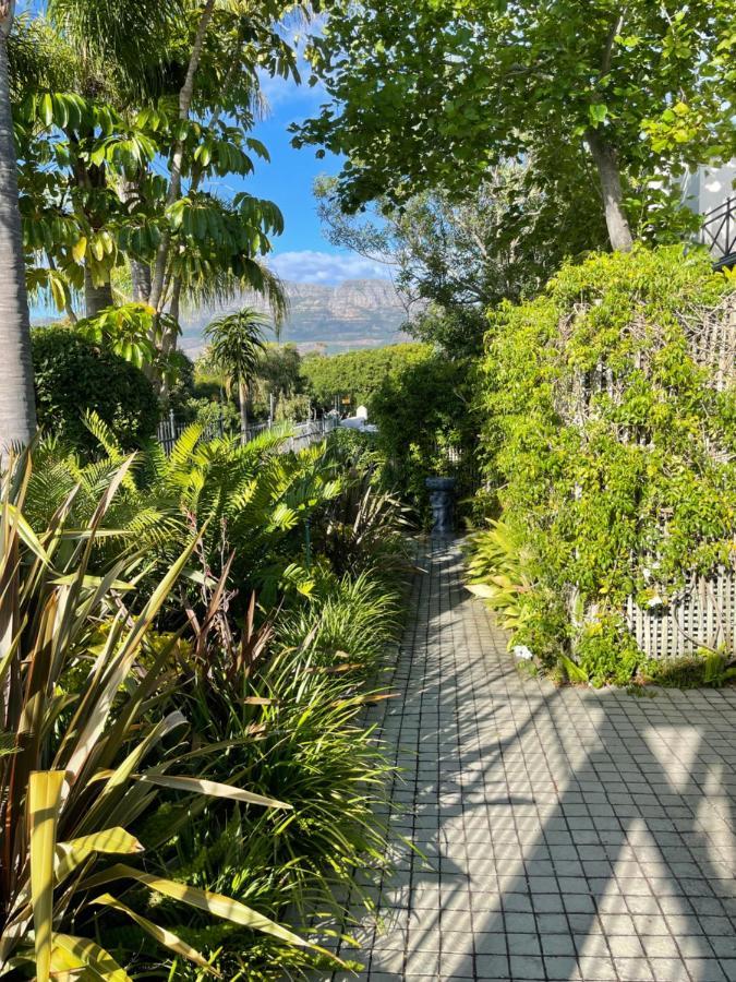 Constantiaberg Eco-Villa ケープタウン エクステリア 写真